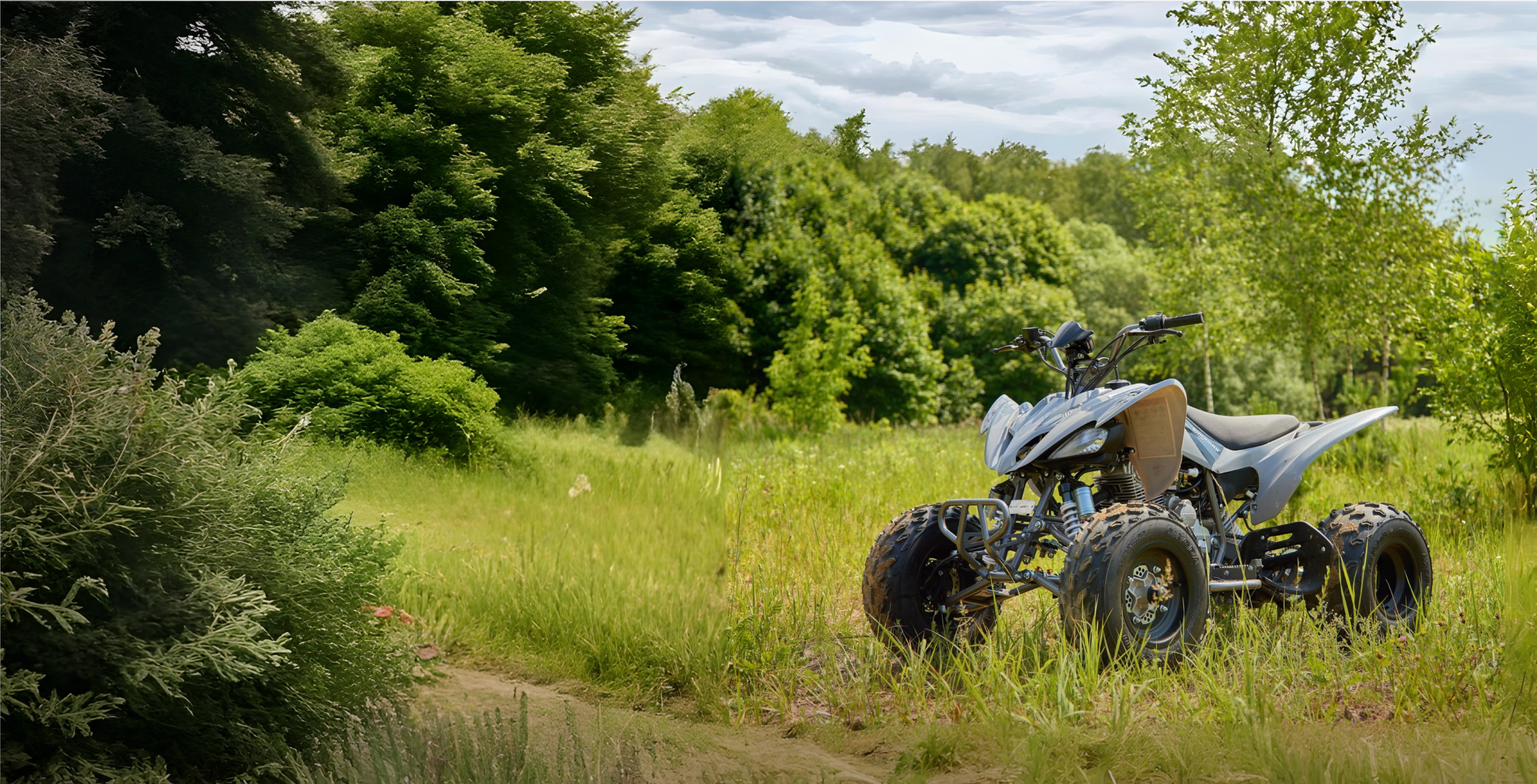 Raizer 250 Race Cup
